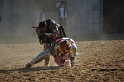 SFaire_2012 (1035)